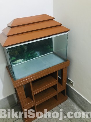 Fish Aquarium